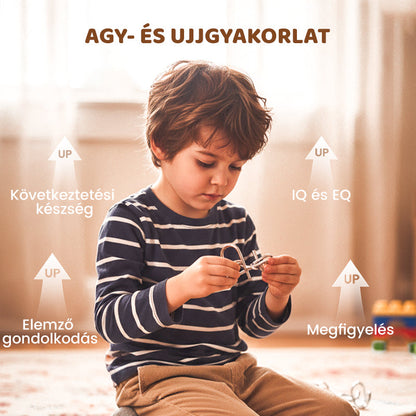 🧠Oktatási fém játékok-Kilenc egymásba kapcsolódó gyűrű👧👦