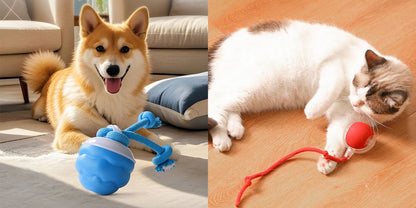 🐶Interaktív elektronikus kisállat-nyugtató játéklabda