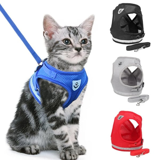 🐶🐱✨Állítható, lélegző, sötétben világító, tökéletes macska hám