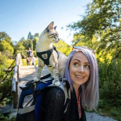 🐶🐱✨Állítható, lélegző, sötétben világító, tökéletes macska hám
