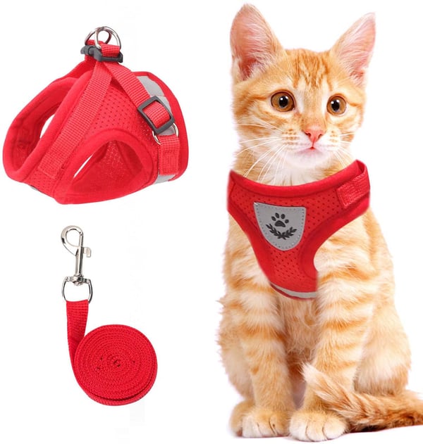 🐶🐱✨Állítható, lélegző, sötétben világító, tökéletes macska hám