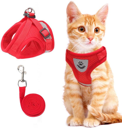 🐶🐱✨Állítható, lélegző, sötétben világító, tökéletes macska hám