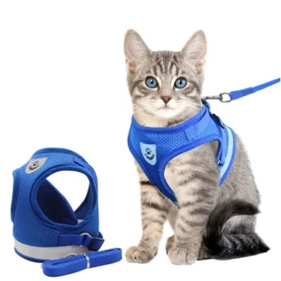🐶🐱✨Állítható, lélegző, sötétben világító, tökéletes macska hám