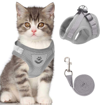 🐶🐱✨Állítható, lélegző, sötétben világító, tökéletes macska hám