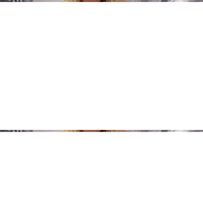 🔥Túlméretezett Letter Print Hoodie ruha