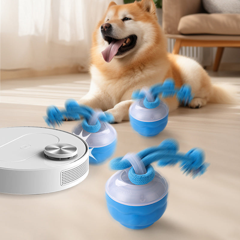🐶Interaktív elektronikus kisállat-nyugtató játéklabda